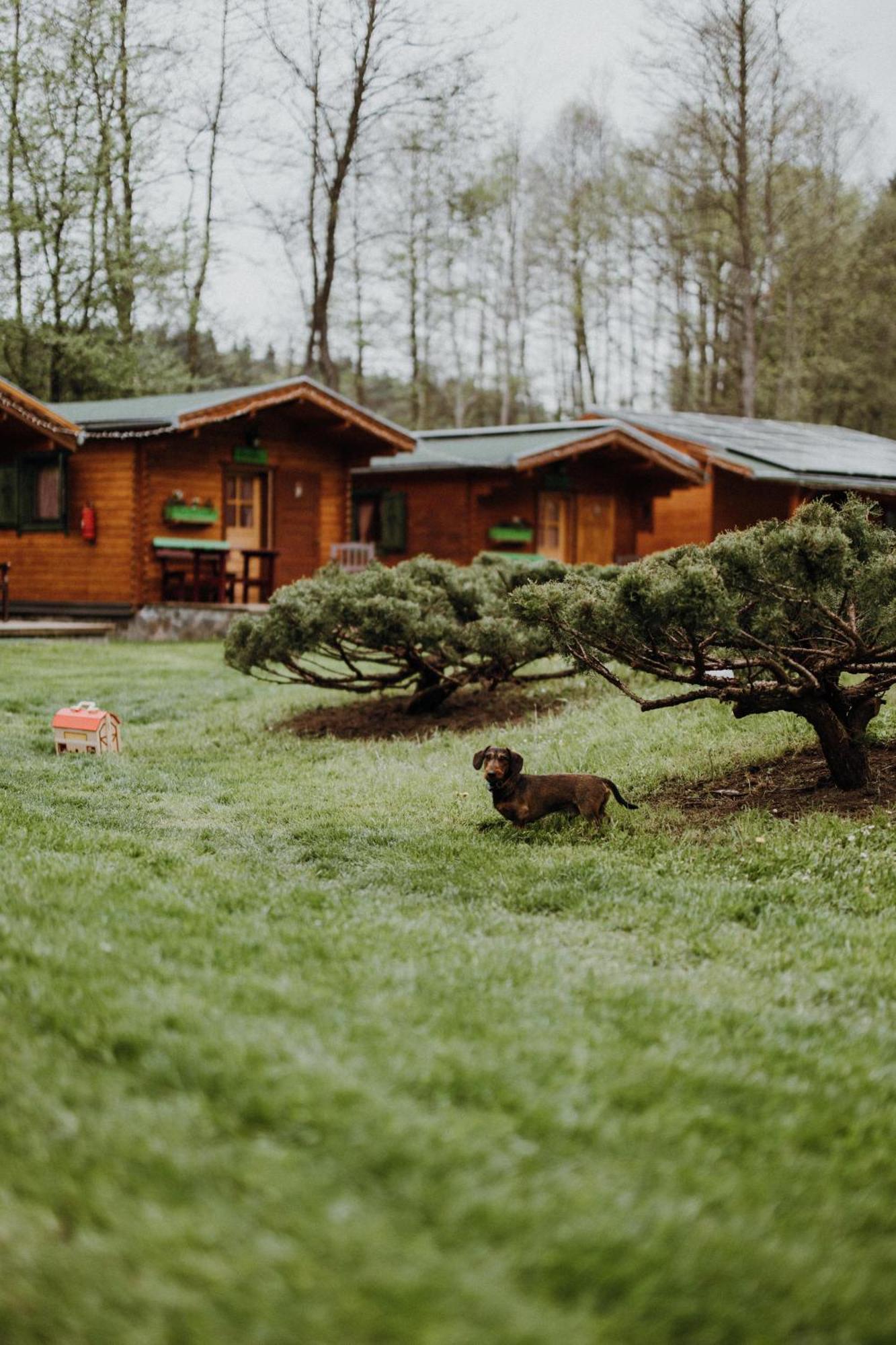 Hotel Vidra Park Sicasău Exteriér fotografie