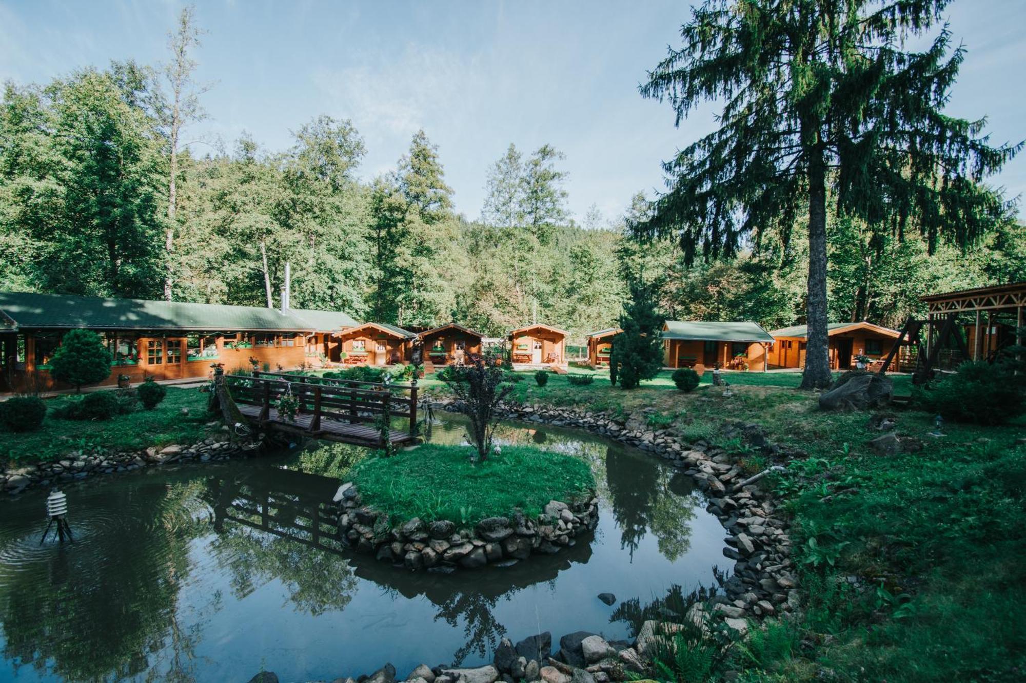 Hotel Vidra Park Sicasău Exteriér fotografie