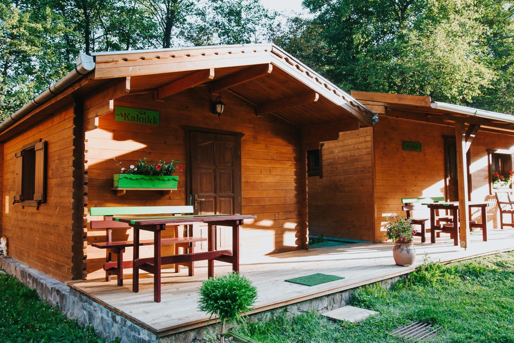 Hotel Vidra Park Sicasău Exteriér fotografie