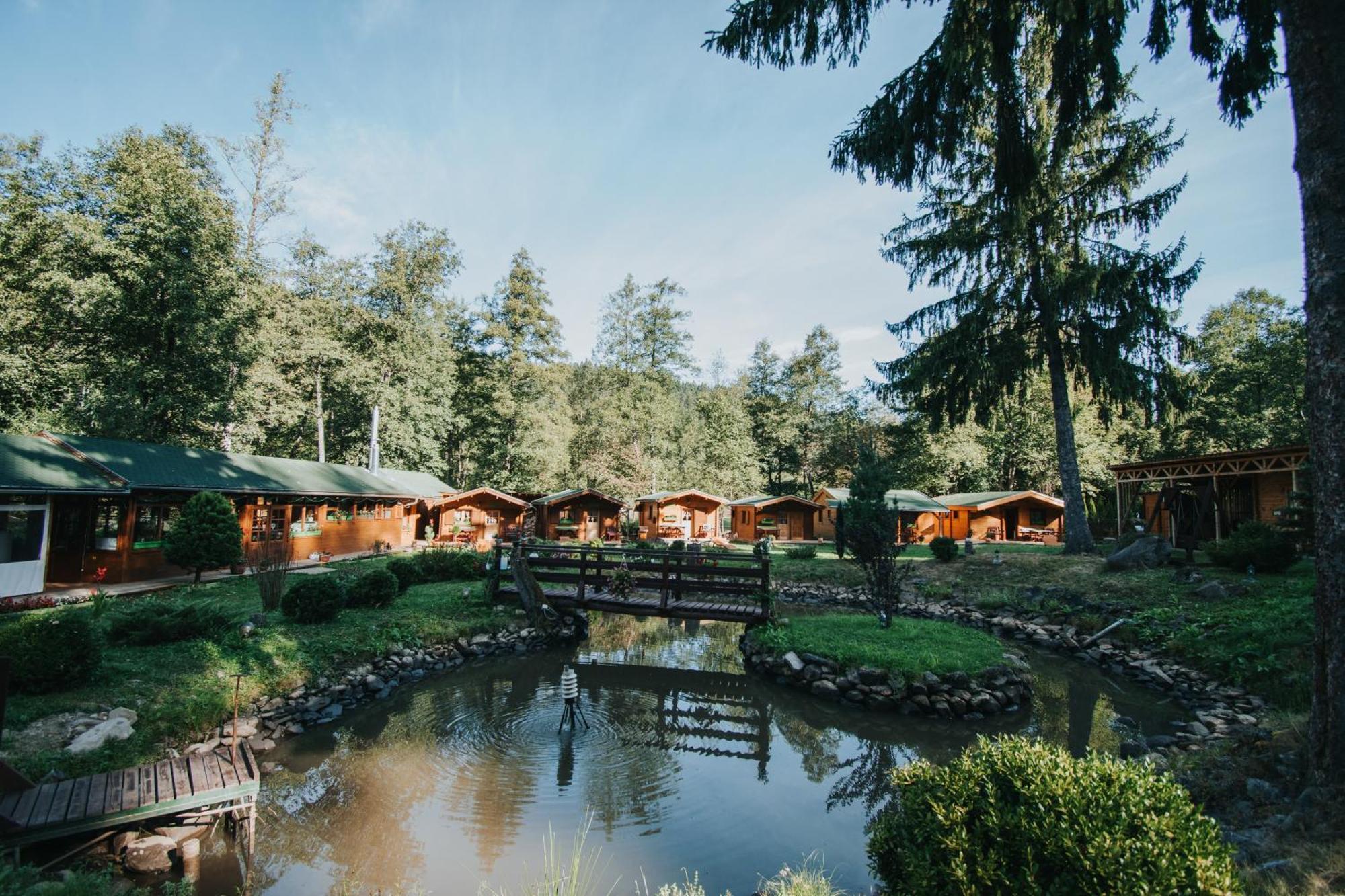 Hotel Vidra Park Sicasău Exteriér fotografie