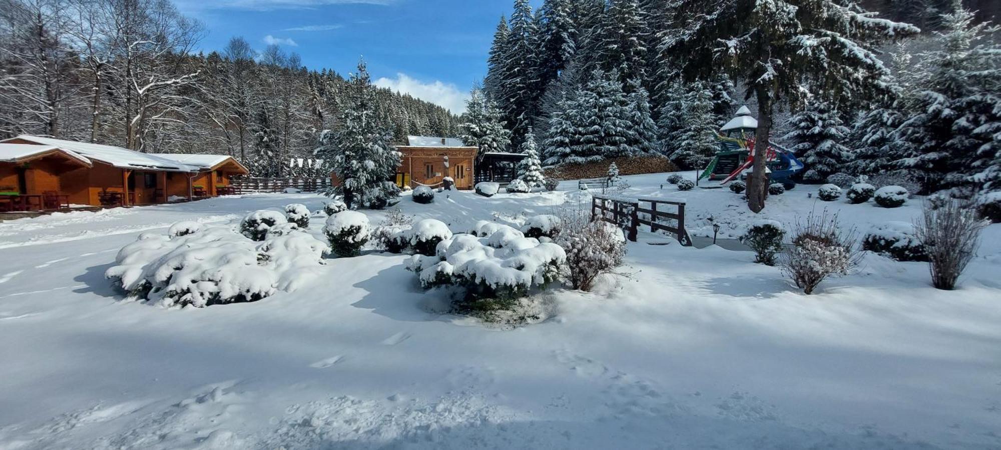 Hotel Vidra Park Sicasău Exteriér fotografie