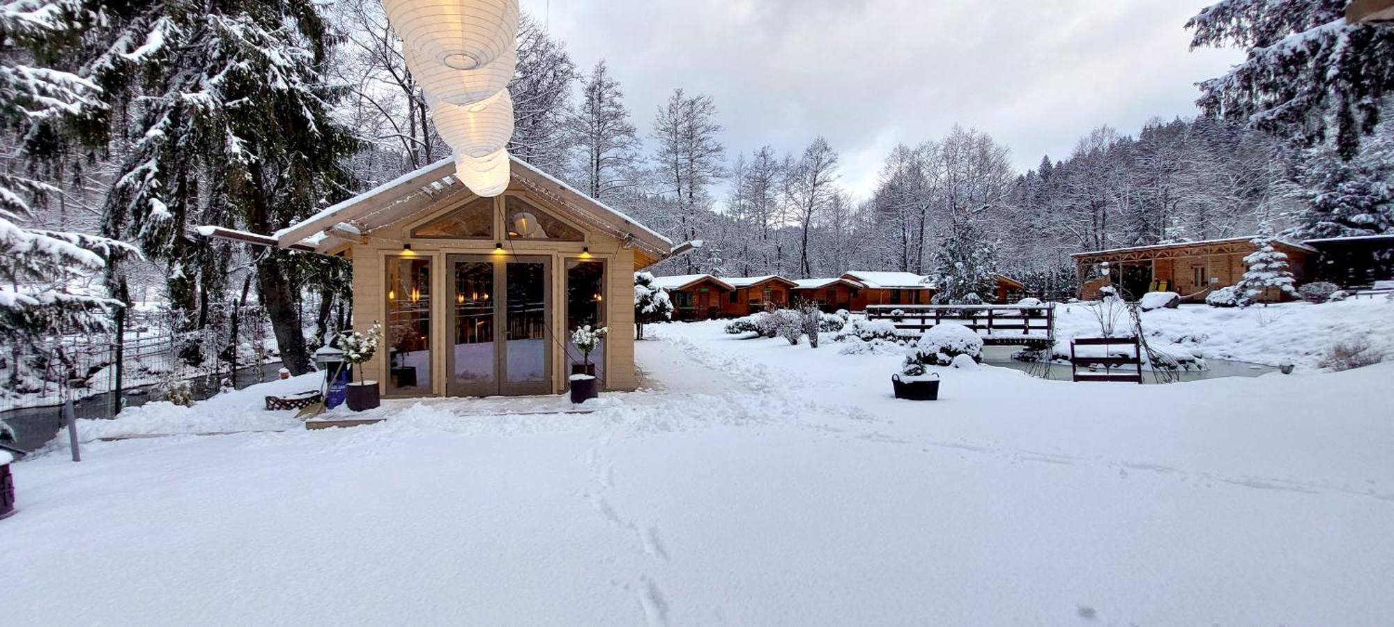 Hotel Vidra Park Sicasău Exteriér fotografie